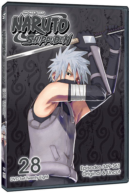 Naruto Shippuden DVD Set 28